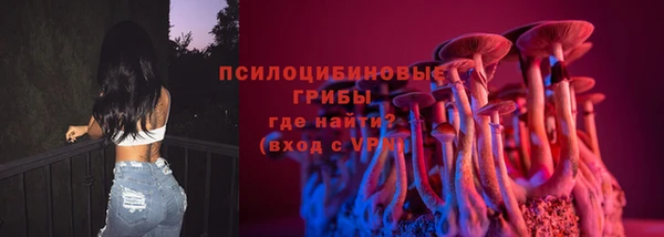 гидропоника Горно-Алтайск