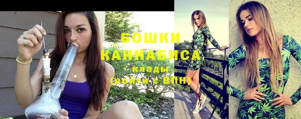 тгк Горнозаводск