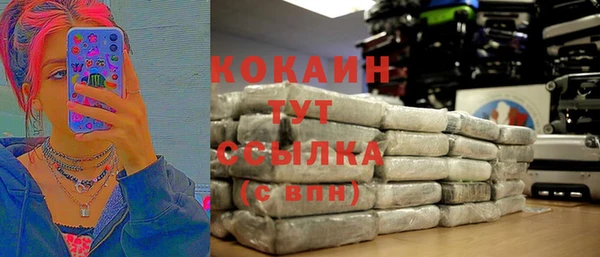 тгк Горнозаводск