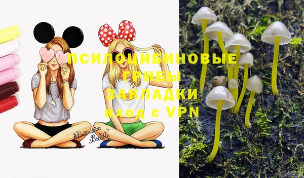 первитин Горняк
