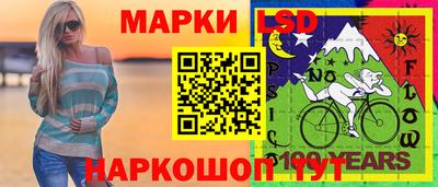 крисы Кулебаки