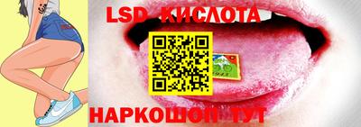 крисы Кулебаки