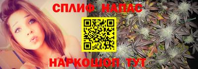 spice Кунгур