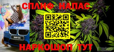 spice Кунгур