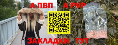 крисы Кулебаки