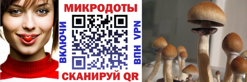 Галлюциногенные грибы ЛСД сайты даркнета формула Донской