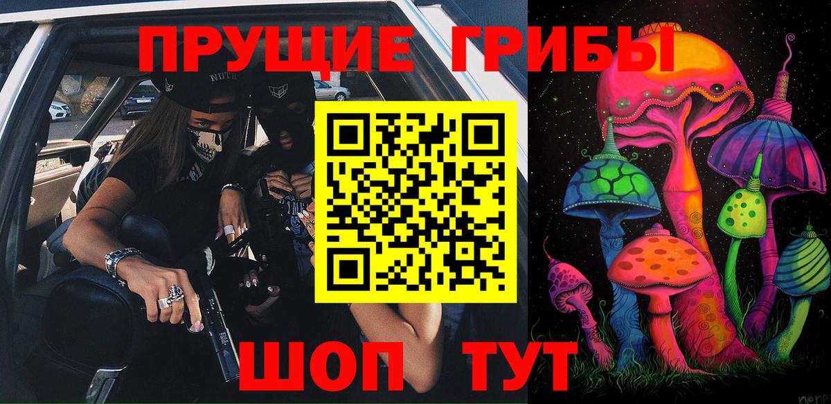 Донской  Галлюциногенные грибы GOLDEN TEACHER  Вход с VPN 